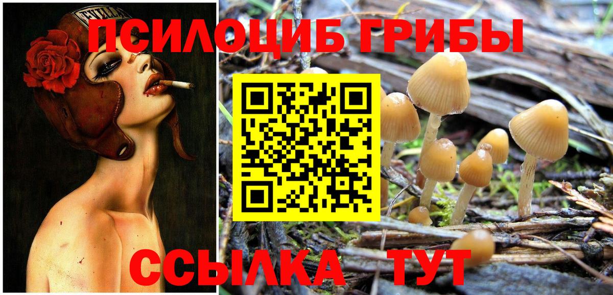 Конаково  Псилоцибиновые грибы Psilocybine cubensis  Вход с VPN 